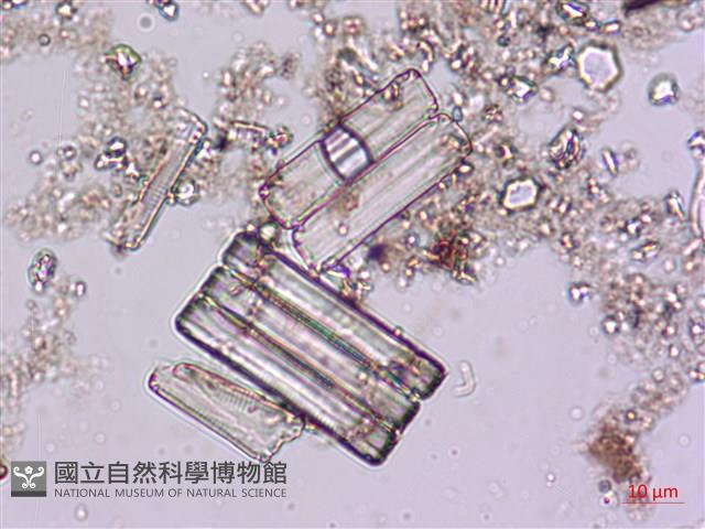 登錄號:A00004621藏品圖，第8張