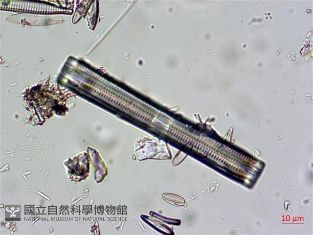 登錄號:A00004671藏品圖，第7張