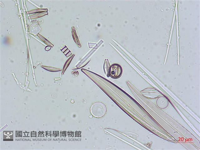 登錄號:A00004641藏品圖，第7張