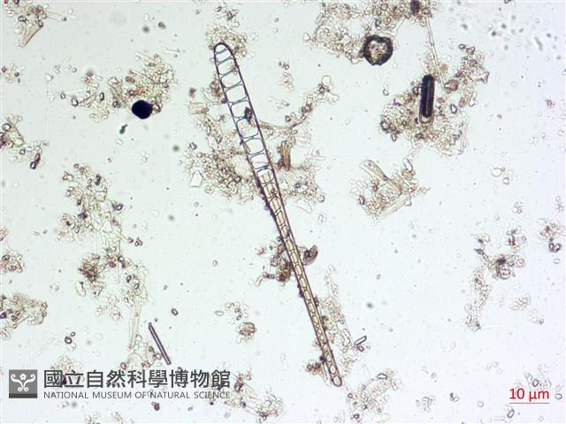 登錄號:A00004541藏品圖，第7張