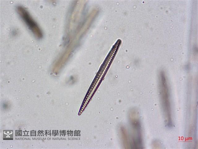 登錄號:A00004481藏品圖，第7張