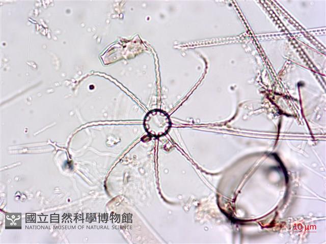 登錄號:A00004650藏品圖，第7張
