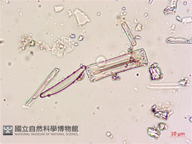 登錄號:A00004620藏品圖，第7張