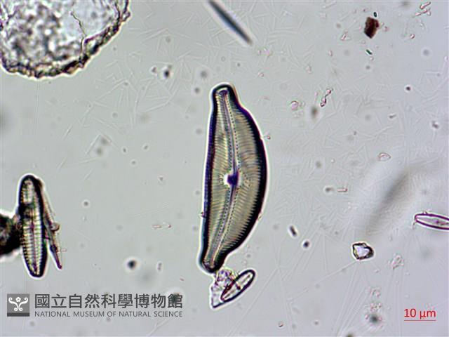 登錄號:A00004670藏品圖，第7張