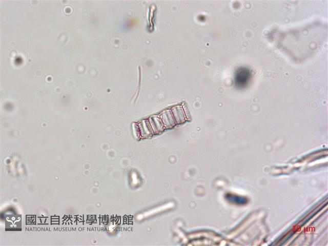 登錄號:A00004640藏品圖，第7張