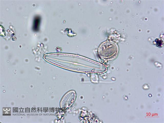 登錄號:A00004540藏品圖，第7張