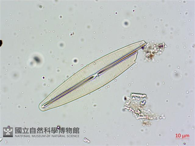 登錄號:A00004600藏品圖，第8張