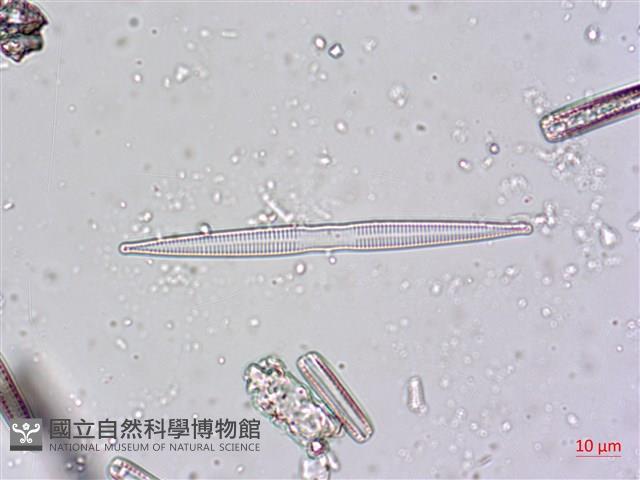 登錄號:A00004480藏品圖，第7張