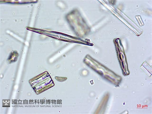 登錄號:A00004633藏品圖，第8張