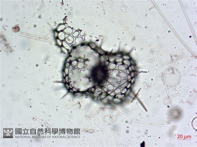 登錄號:A00004653藏品圖，第8張
