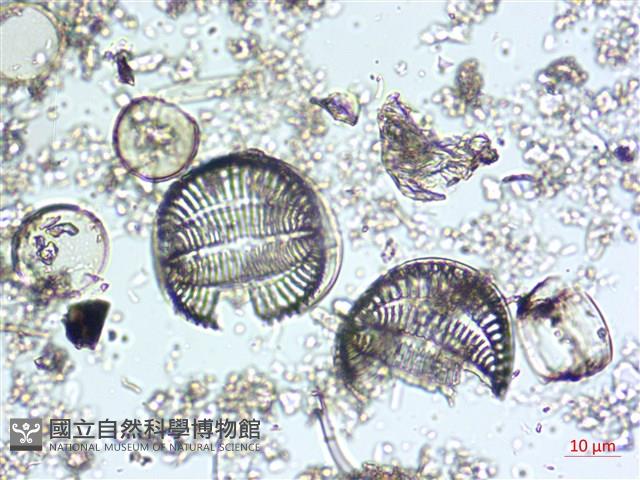登錄號:A00004583藏品圖，第7張
