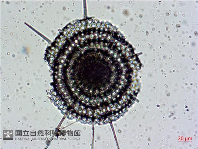 館號:A00004642藏品圖，第49張