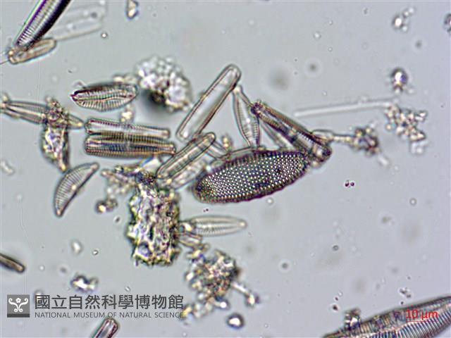 登錄號:A00004671藏品圖，第11張