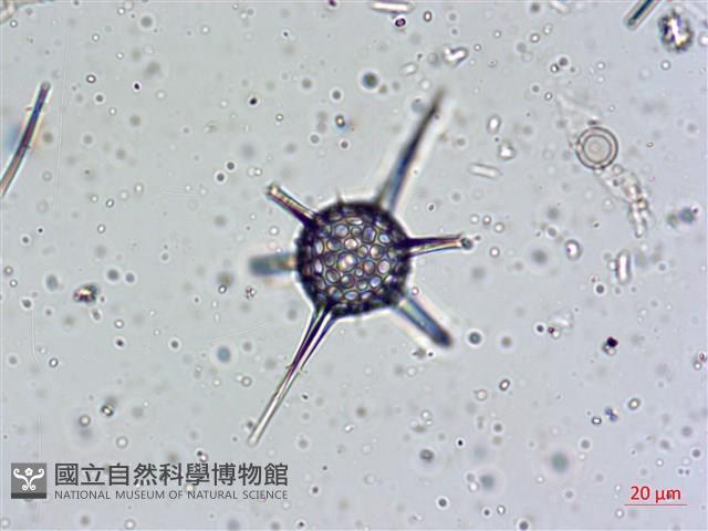 館號:A00004642藏品圖，第23張