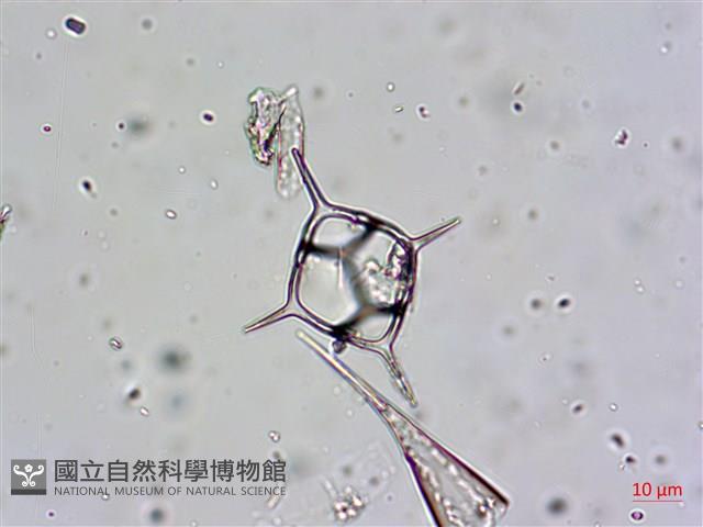 登錄號:A00004656藏品圖，第22張
