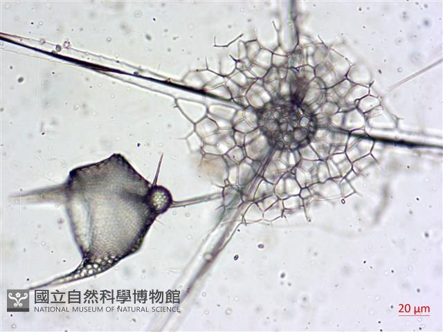 登錄號:A00004655藏品圖，第21張