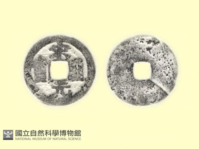 銅錢藏品圖，第3張