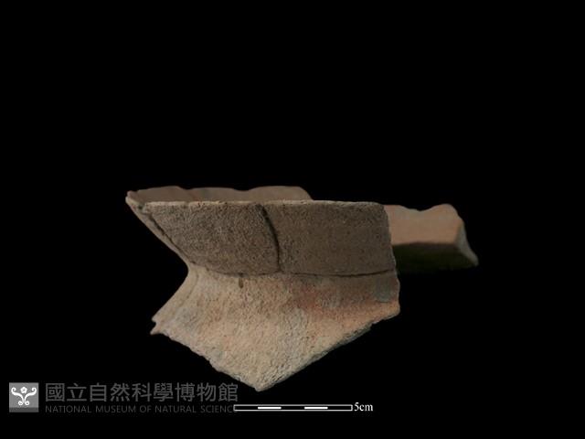 陶罐藏品圖，第3張