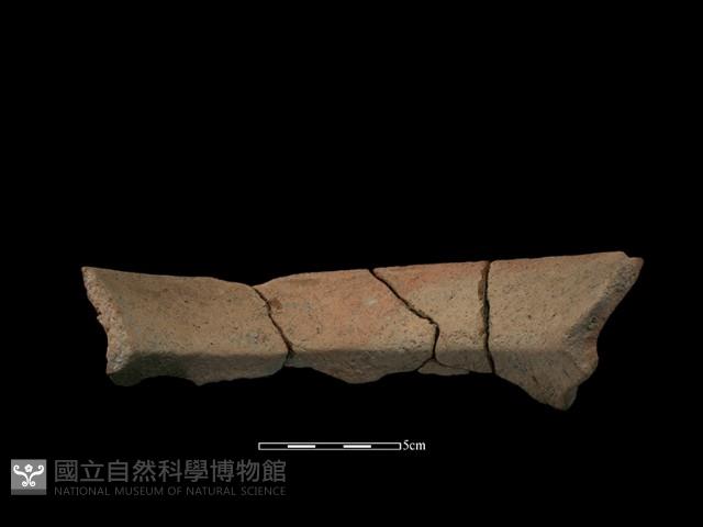 陶罐藏品圖，第3張