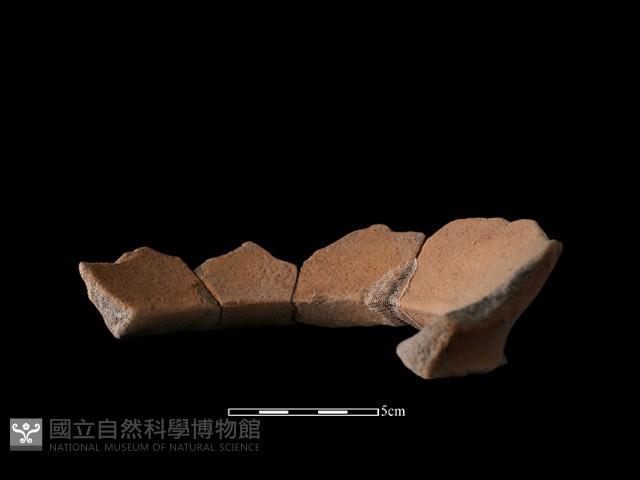 陶罐藏品圖，第3張