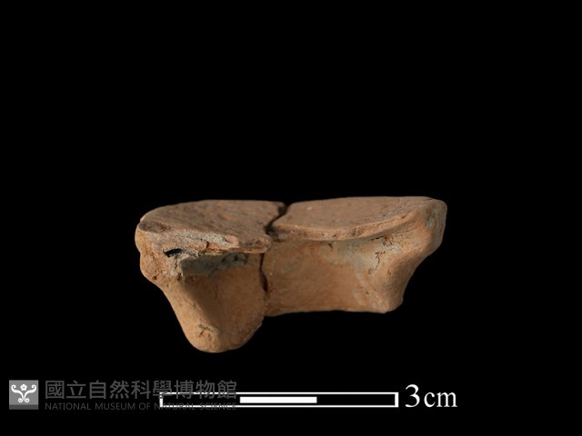 豆形器藏品圖，第3張