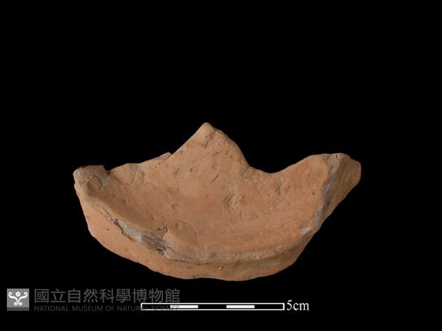 豆形器藏品圖，第3張