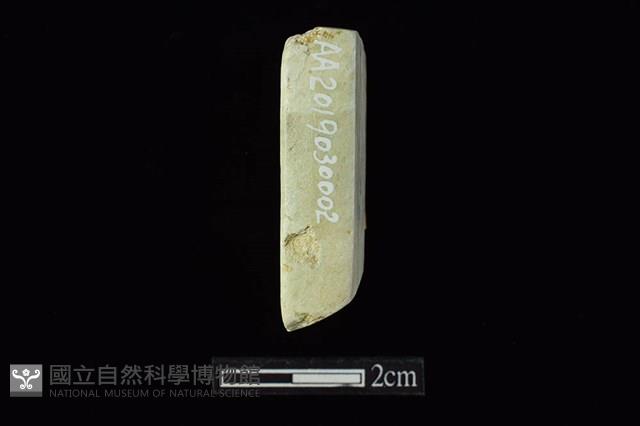 錛鑿形器藏品圖，第3張