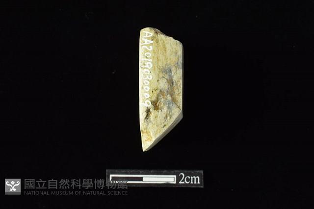 錛鑿形器藏品圖，第3張