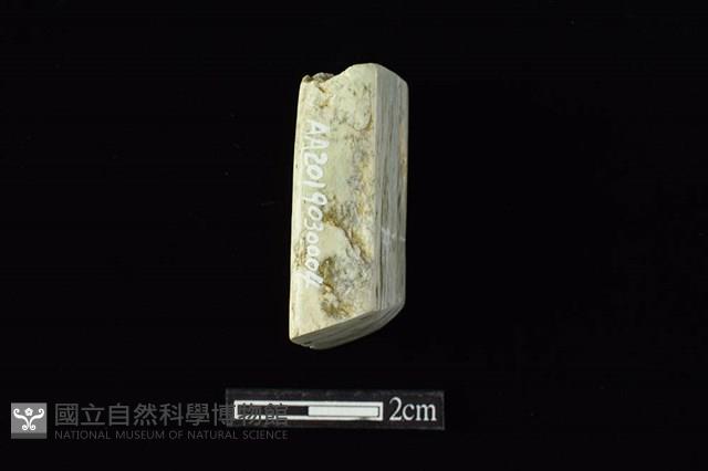 錛鑿形器藏品圖，第3張