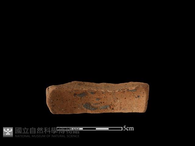 陶片藏品圖，第3張