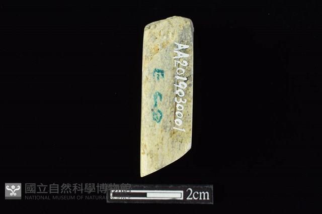 Accession Number:AA2019030001 Collection Image, Figure 3, Total 4 Figures