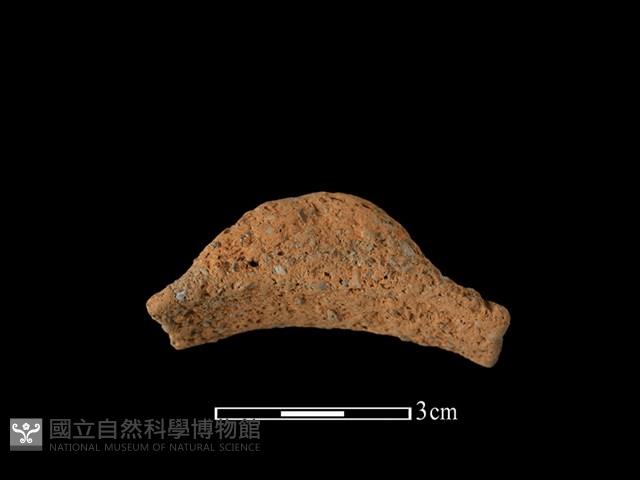 陶耳藏品圖，第3張