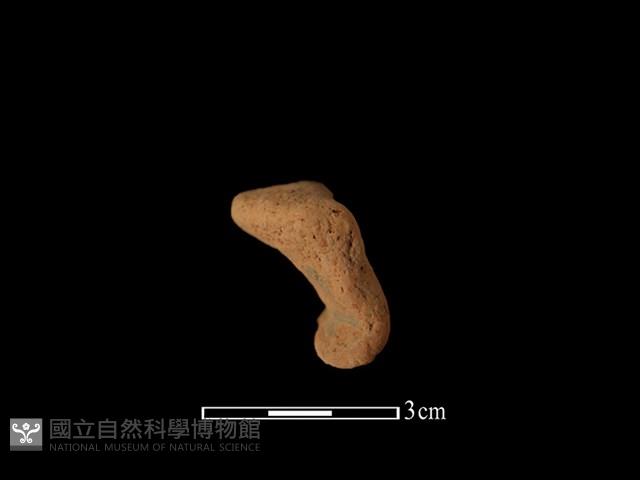 陶耳藏品圖，第3張