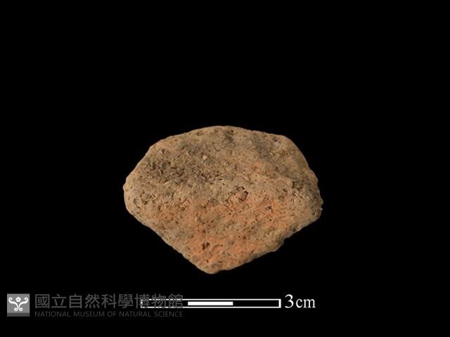 陶耳藏品圖，第3張