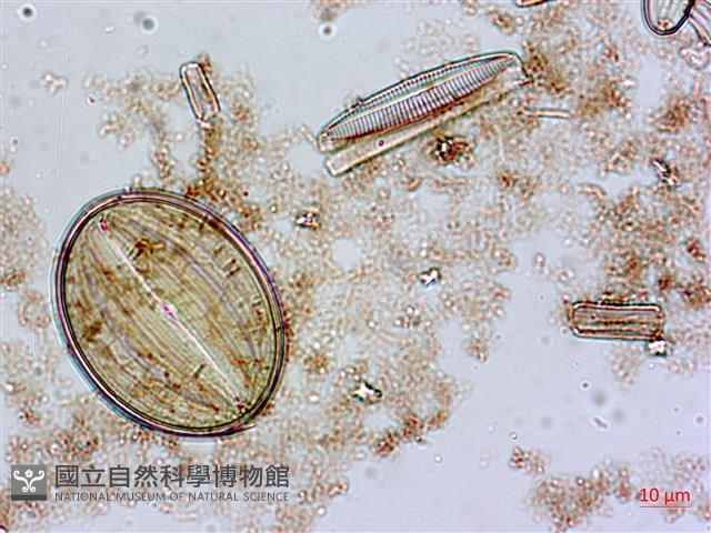 登錄號:A00004552藏品圖，第5張