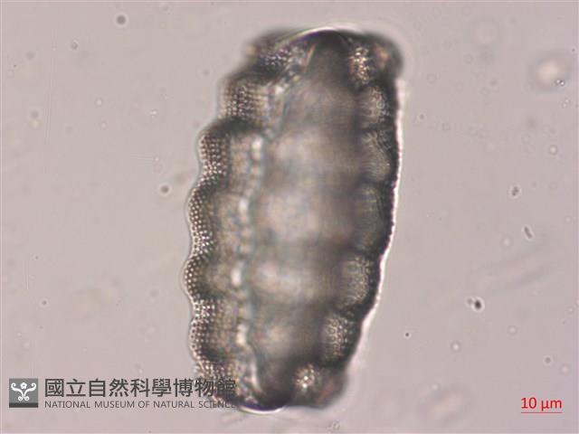 登錄號:A00004522藏品圖，第5張