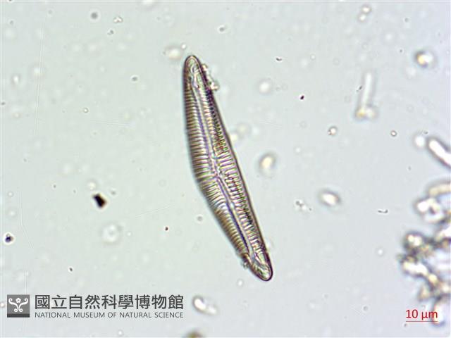 登錄號:A00004662藏品圖，第5張