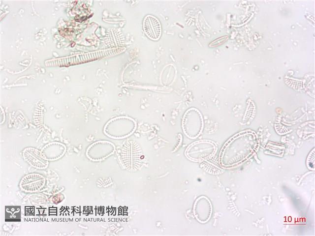 登錄號:A00004496藏品圖，第5張