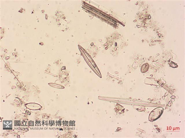 登錄號:A00004494藏品圖，第5張