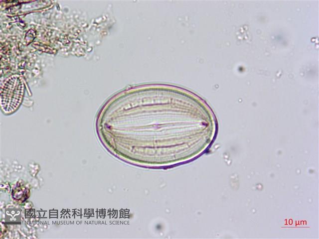 登錄號:A00004484藏品圖，第5張