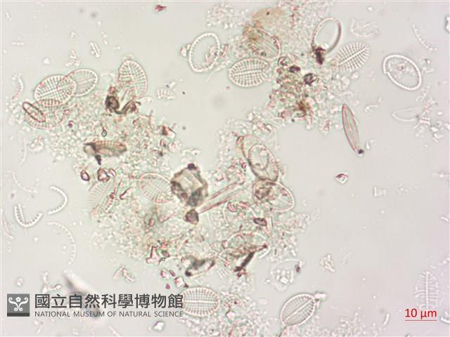 登錄號:A00004495藏品圖，第5張