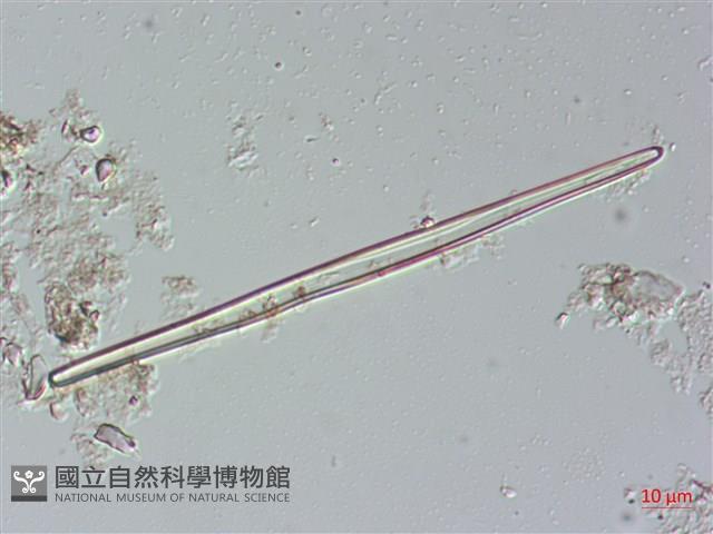 登錄號:A00004485藏品圖，第5張