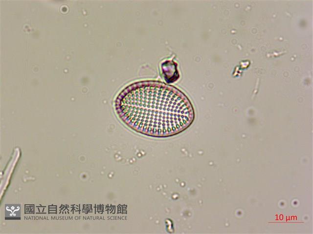 登錄號:A00004531藏品圖，第5張