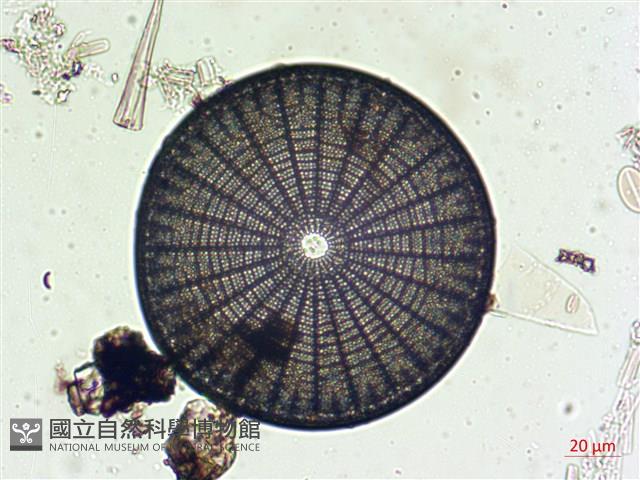 登錄號:A00004551藏品圖，第5張