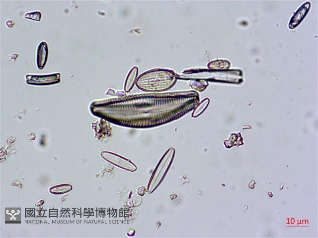 登錄號:A00004671藏品圖，第5張