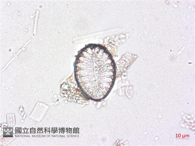 登錄號:A00004511藏品圖，第5張