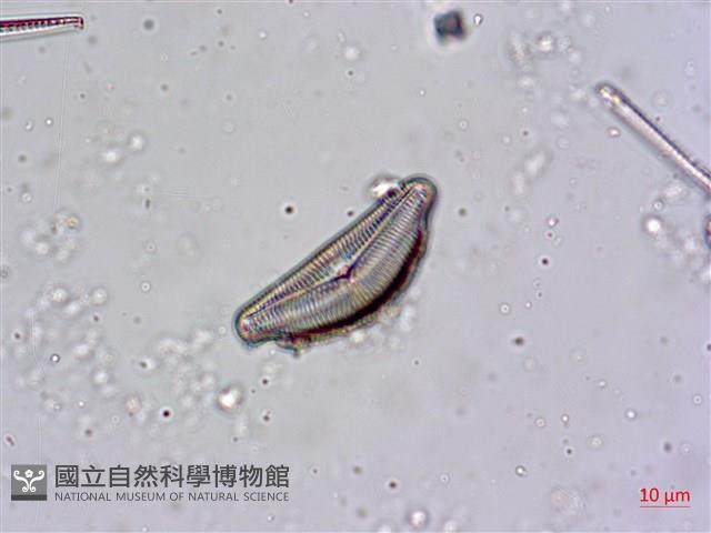 登錄號:A00004481藏品圖，第5張