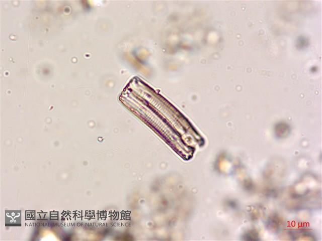 登錄號:A00004620藏品圖，第5張
