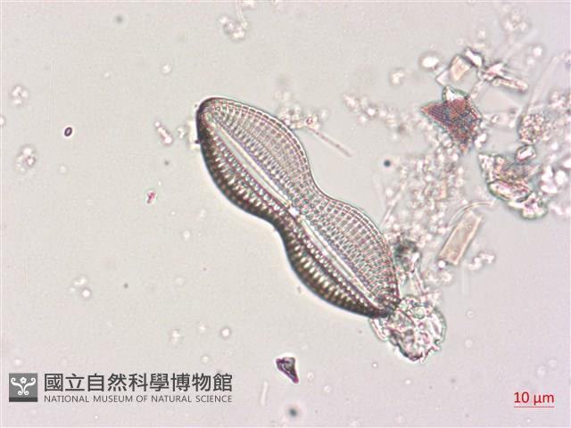 登錄號:A00004510藏品圖，第5張