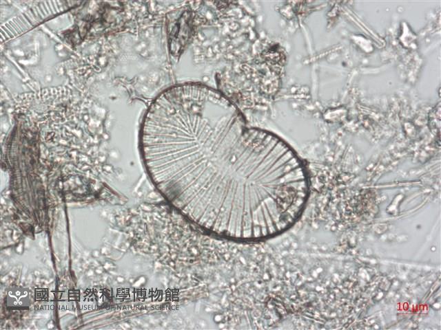 登錄號:A00004490藏品圖，第5張